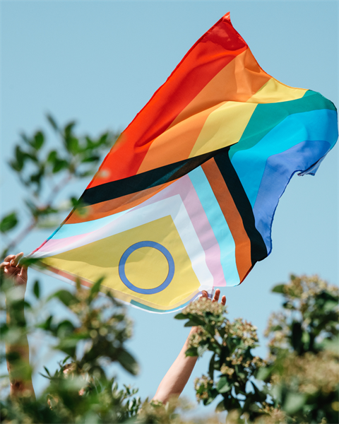 IDAHOBIT (1).png